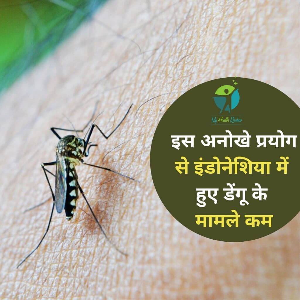 Dengue Symptoms in Hindi